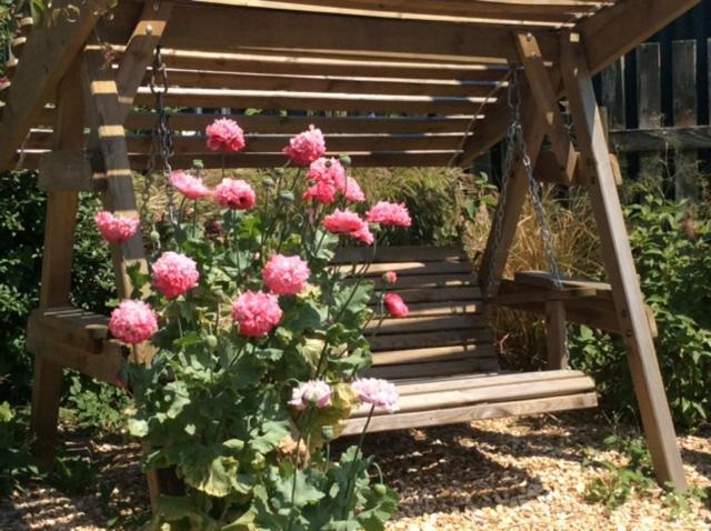 Bed and Breakfast Wheelwrights Abbotsbury Exterior foto